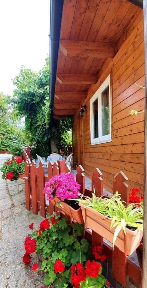 Camping Onda Azzurra Hotel Ortona Ngoại thất bức ảnh